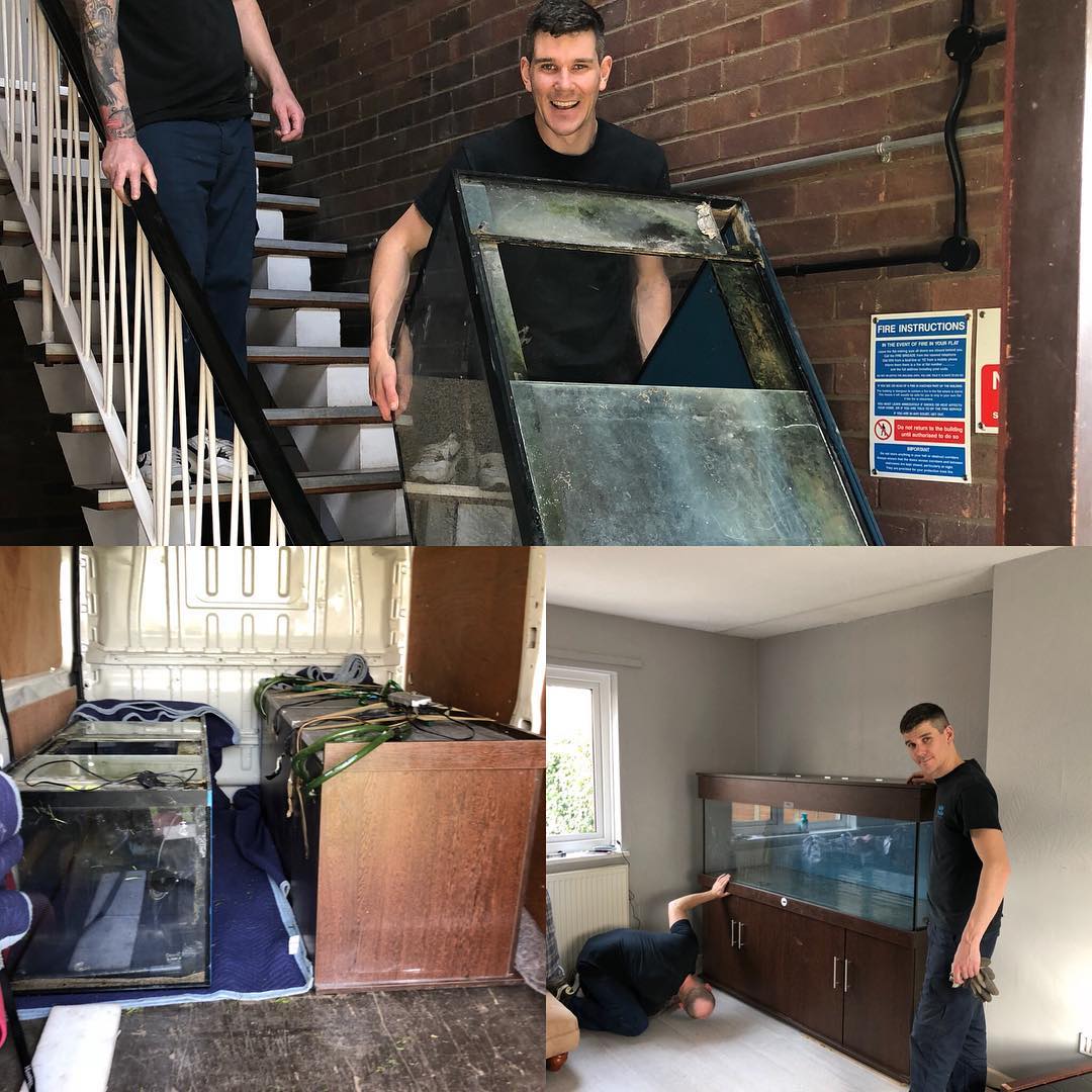 Your Man With A Van image 3